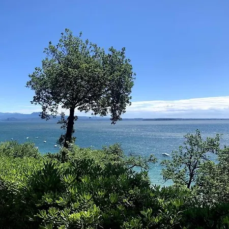 דירה View *